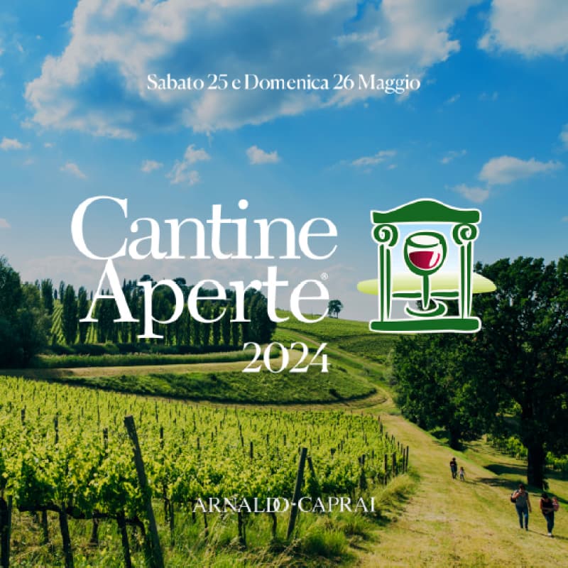 Arnaldo Caprai case history social Cantine Aperte